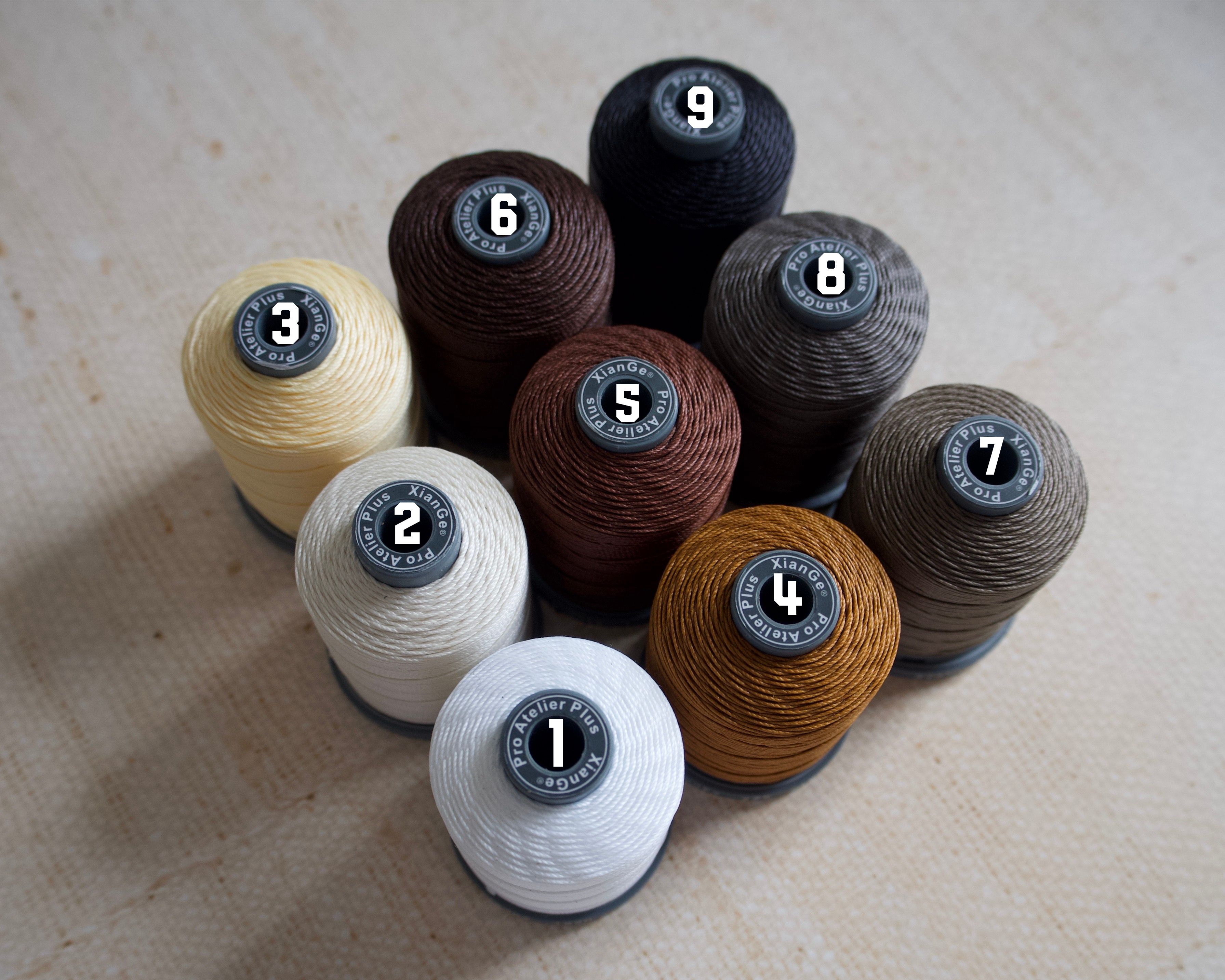 Alba - 2 Pocket Vertical Card Wallet